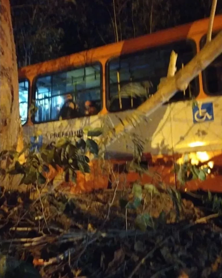 Passageiros ficam feridos após ônibus perder o controle e tombar em área de mangue