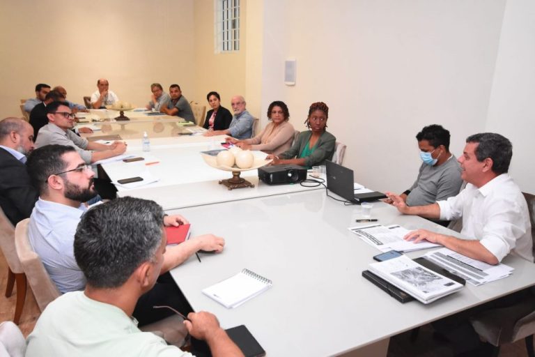 Comissão de Recesso reúne especialistas para debate sobre novo Plano Diretor