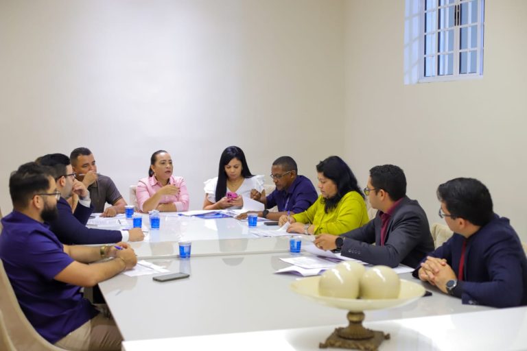 CCJ da Câmara de São Luís realiza força-tarefa visando liberar a pauta para novos projetos
