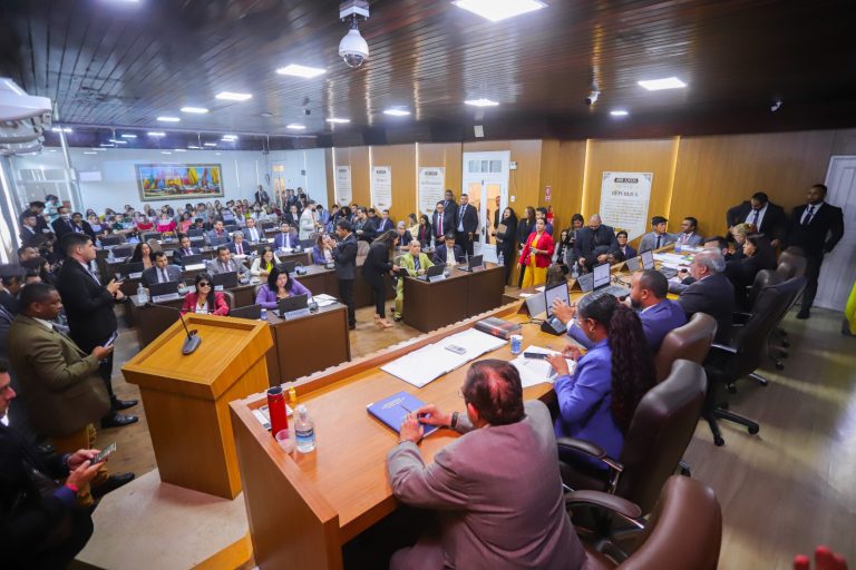 Após cinco anos de debate na Câmara, Plano Diretor de São Luís é aprovado com 49 emendas