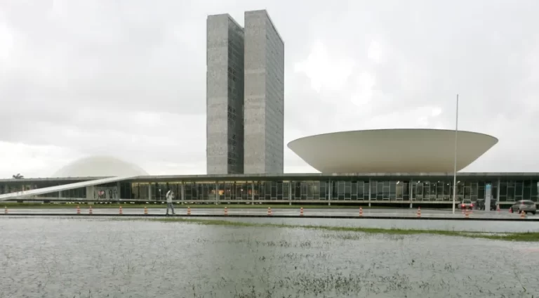 Entenda como é feita a conta que define o número de deputados de cada estado