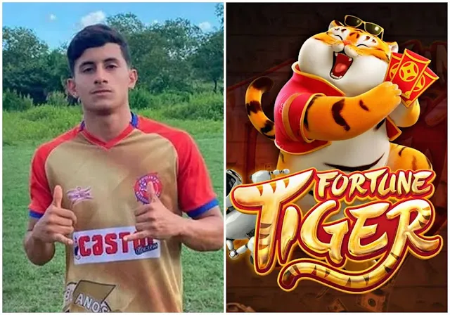 Por que Jogo do Tigre é proibido e apostas esportivas não