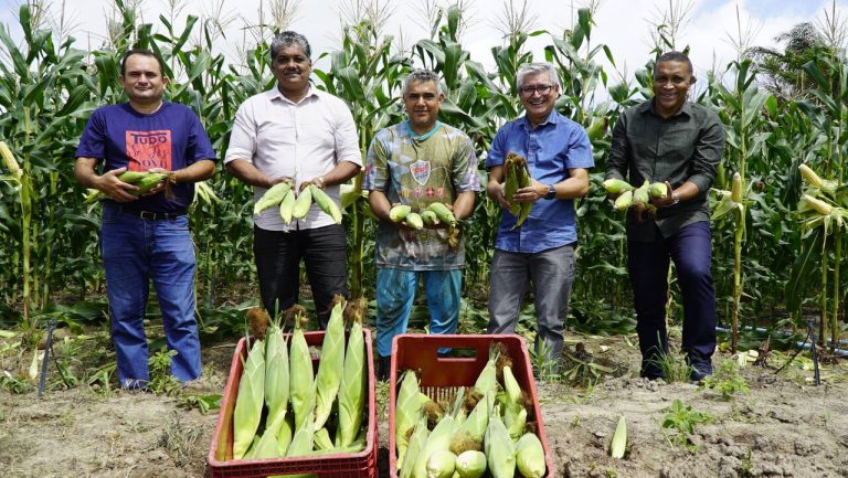 Prefeito Eudes Barros fortaleceu agricultores da Raposa e diversificou produção agrícola