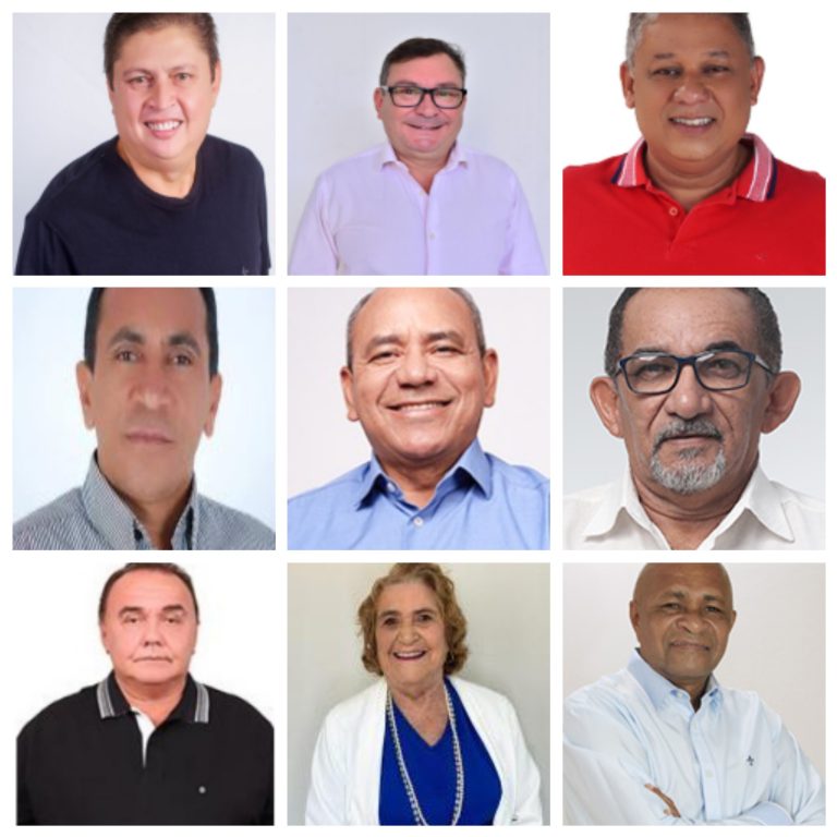 Maioria dos ex-vereadores fracassam nas urnas; veja como se saíram e quantos votos tiveram