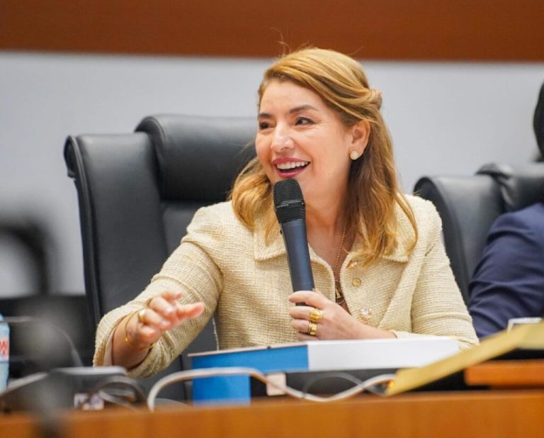 “Respeito à autonomia do Parlamento”, diz Iracema Vale sobre parecer da AGU