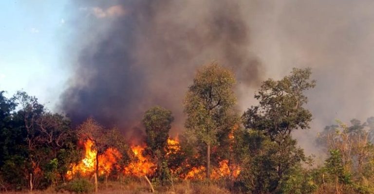 Maranhão proíbe a utilização de fogo em áreas rurais até novembro