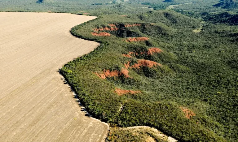 Licenciamento ambiental é um ‘dilema’ histórico no país