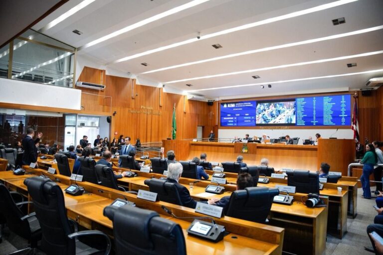 Assembleia apresenta balanço das ações de 2025 no MA; veja