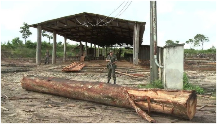 Justiça Federal acusado por roubo de madeira no MA