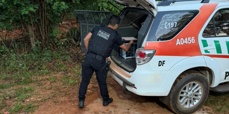 Polícia DF mira MA em ação contra esquema de apostas